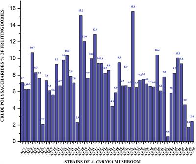 Characterization, antioxidant activity, and mineral profiling of Auricularia cornea mushroom strains